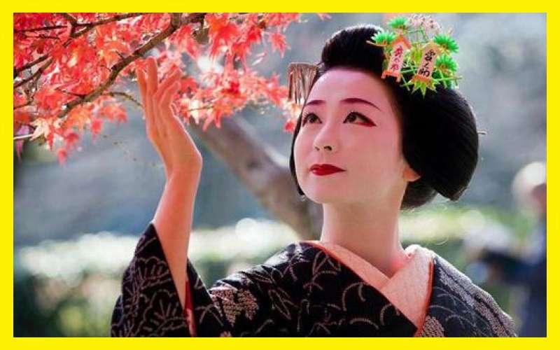 Japon Kültür Günleri Başlıyor